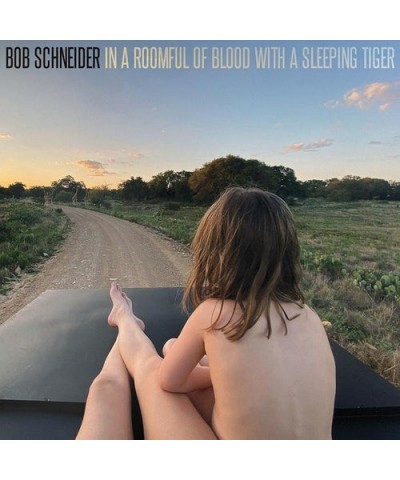 Bob Schneider In a Roomful of Blood with a Sleeping Tiger Vinyl Record $10.53 Vinyl