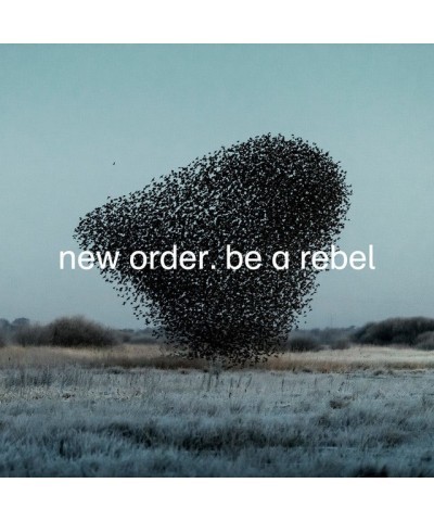 New Order BE A REBEL (LIMITED EDITION DOVE GREY VINYL) Vinyl Record $8.30 Vinyl