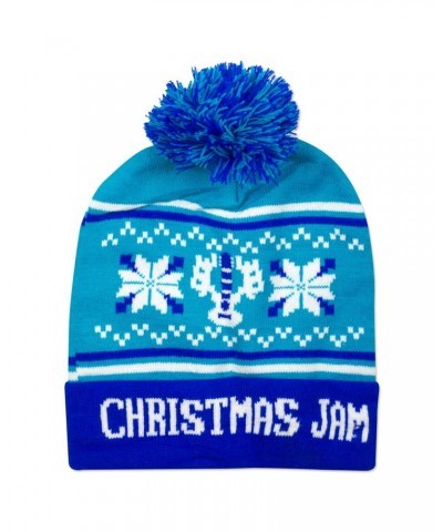 Gov't Mule Warren Haynes 2015 Christmas Jam Beanie $5.40 Hats